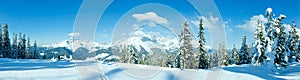 Winter mountain panorama with snowy trees (Filzmoos, Austria)