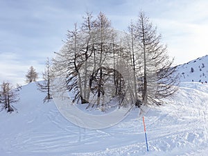 Winter mountain scene in Sauze D`oulx