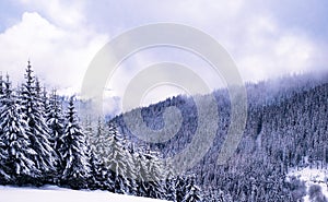 Winter mountain scenery