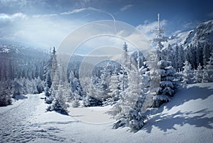 Winter mountain scenery