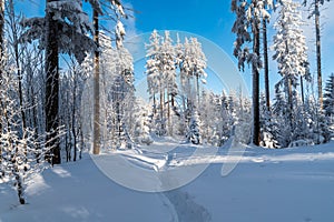 Winter mountain scenery with lot of snow, frozen trees, hiking trail and blue sky in Moravskoslezske Beskydy mountains on czech -