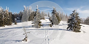 Zimná horská scenéria s lúkou, menšími stromami a modrou oblohou s mrakmi