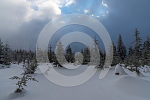 Winter mountain scenery with snow covered forest glade with forest around and blue sky with clouds