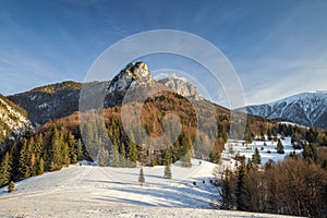 Winter mountain snowy landscape