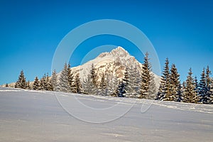 Winter mountain snowy landscape at a sunny day