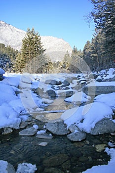 Winter mountain stream.