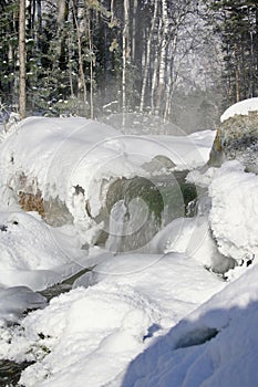 Winter mountain stream.