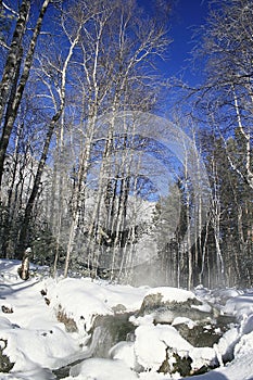 Winter mountain stream.