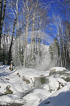 Winter mountain stream.