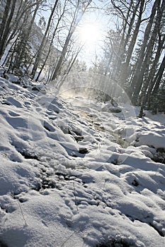 Winter mountain stream.