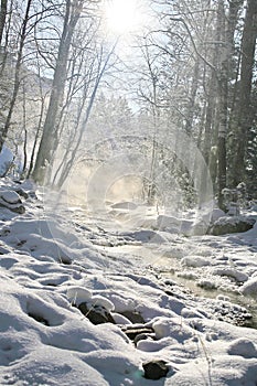 Winter mountain stream.