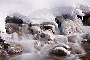 Winter Mountain Stream, Austria