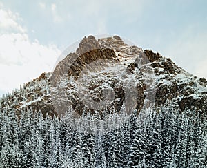 Winter mountain and treeline