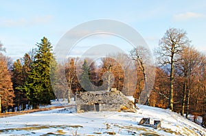 Winter on the mountain