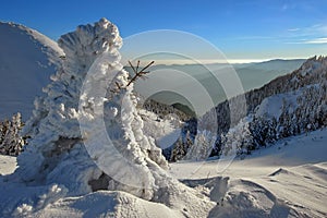Winter mountain landscape. Snow at high altitude - Ciucas Mountains, landmark attraction in Romania
