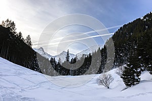 Winter in the Mountains