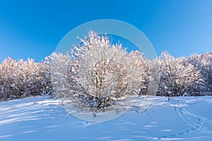 Winter in the mountains