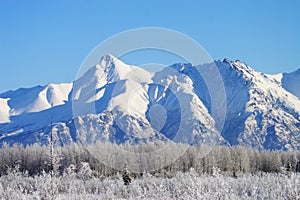 Winter Mountains