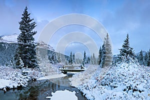 Winter in the mountains Bow Lake Banff National Park Alberta Canada First snow in the forest. Beautiful christmas