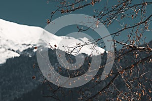 Winter mountains of Krasnaya Polyana