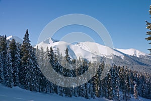 Winter mountains landscape. Bulgaria, Bansko