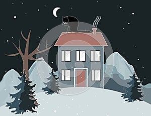 Winter mountains landscape with a cat is seating on the house roof. Trees and house on the hill at night. Winter