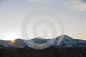 Winter mountains landscape panorama at sunrise. Clear blue sky over dark spruce pine trees forest, covered with snow mountain
