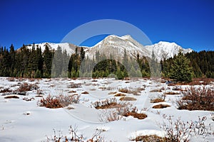 Winter mountains and meadows