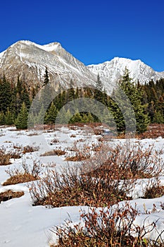 Winter mountains and meadows