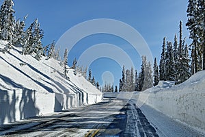 Winter in Mt Rainier Park