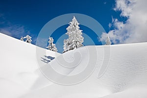 Winter on Mt Seymour