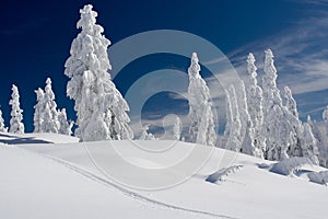 Winter on Mt Seymour