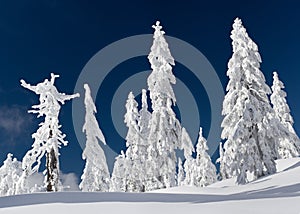 Winter on Mt Seymour