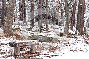 Winter in Nacka, Stockholm, Sweden