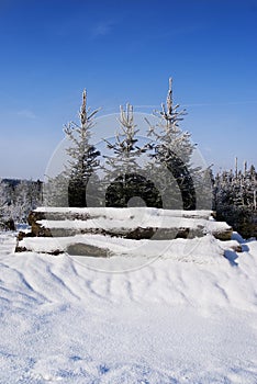Winter nature background