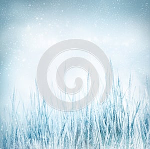Winter nature background with frozen grass