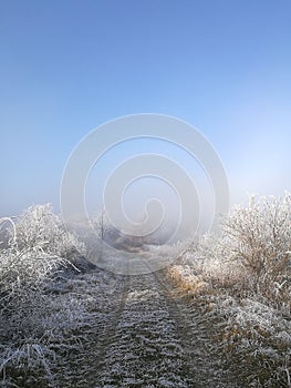 Winter nature in Czech Republic