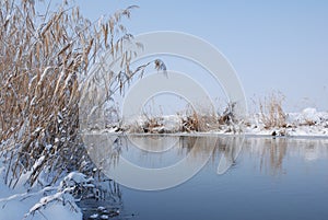 Winter Nature Landscape