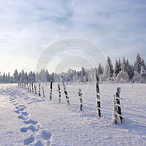 winter nature landscape, amazing sunset view, beautiful landscape in mountains, Carpathians,  Ukraine, Europe
