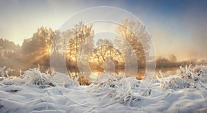 Winter nature landscape at sunrise. Frosty trees in morning sunlight. Christmas background.