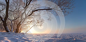 Winter nature landscape at sunset. Sunny winter evening. Winter scene. Snow and frost. Snowy tree. Christmas background