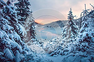 Winter nature mountain scene at sunset. Amazing snowy mountains. Fir trees near ice mountain lake