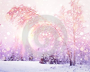 Winter nature at sunrise with pink light of sun. Colored snowflakes shining on sun. Snowy forest. Christmas background