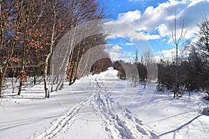 Winter nature white snow path