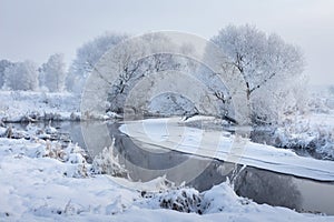 Winter nature. Winter landscape. Snowy trees on riverbank. Christmas. Frosty background