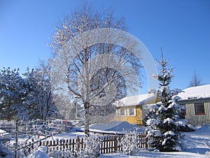 Winter neighbourhood