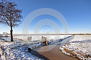Winter in the Netherlands