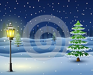 Winter night background with pine trees and street lamp