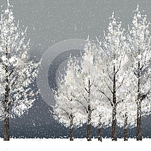 Winter night background with snowy trees