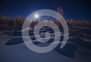 Winter night landscape with forest, moon and cliffs under the snow